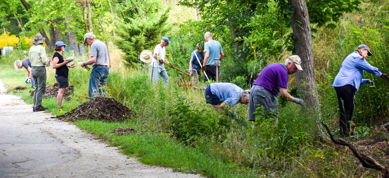 Volunteers working