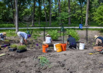 Planting photo