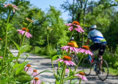 Flowers on Trail photo