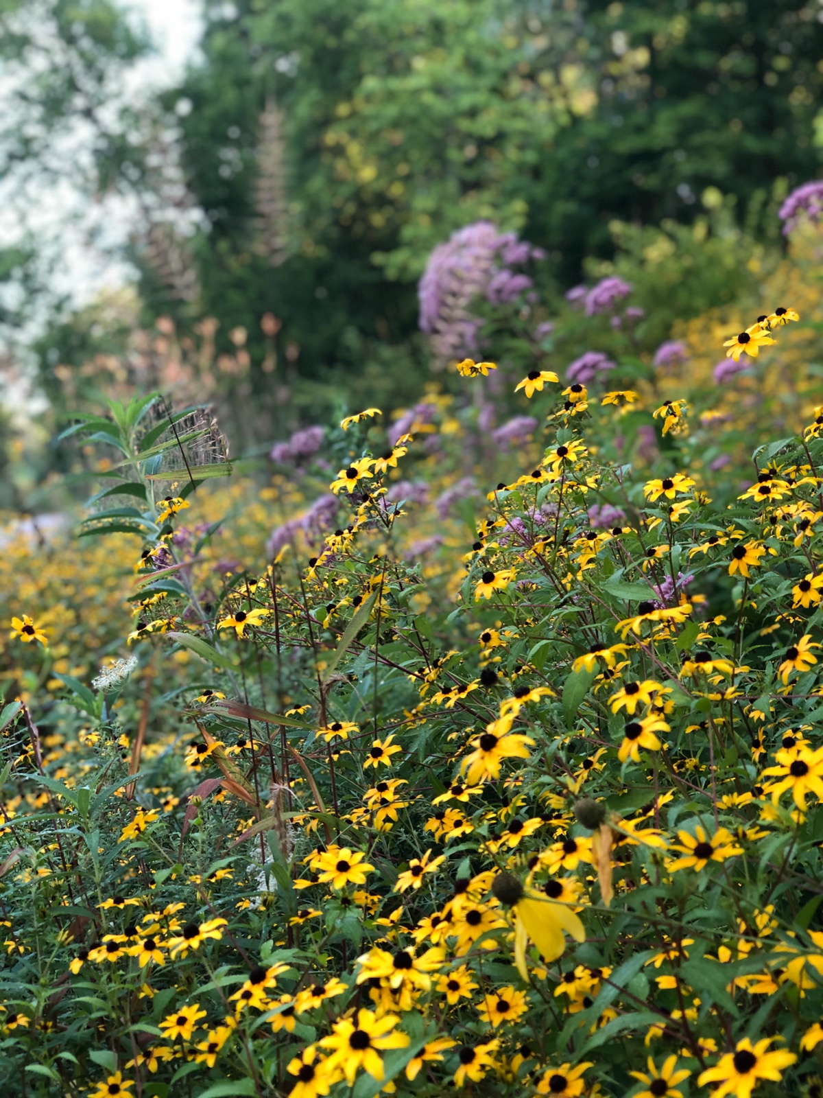 Stopping to smell the flowers during a morning run.