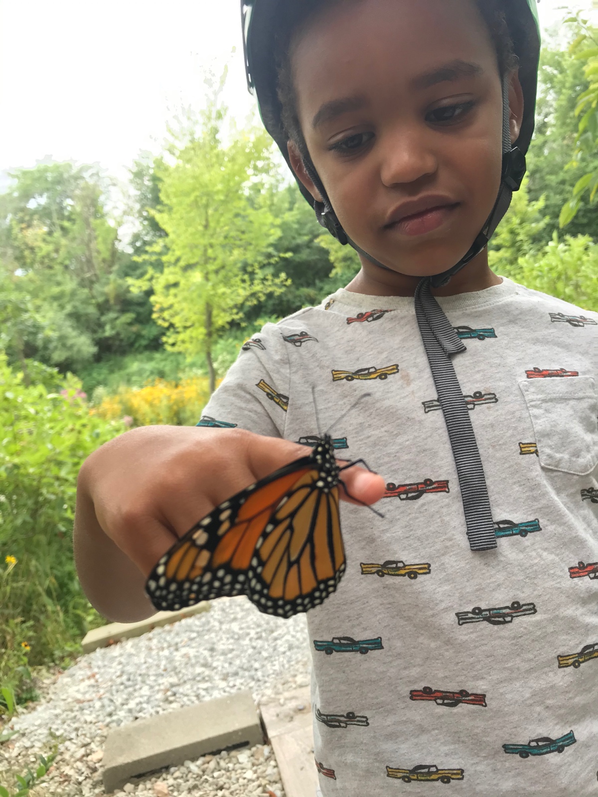 This butterfly likes me