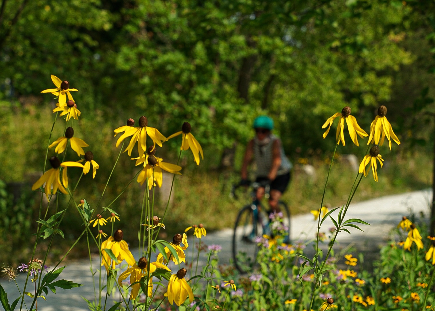 Afternoon bike ride on the aTrail