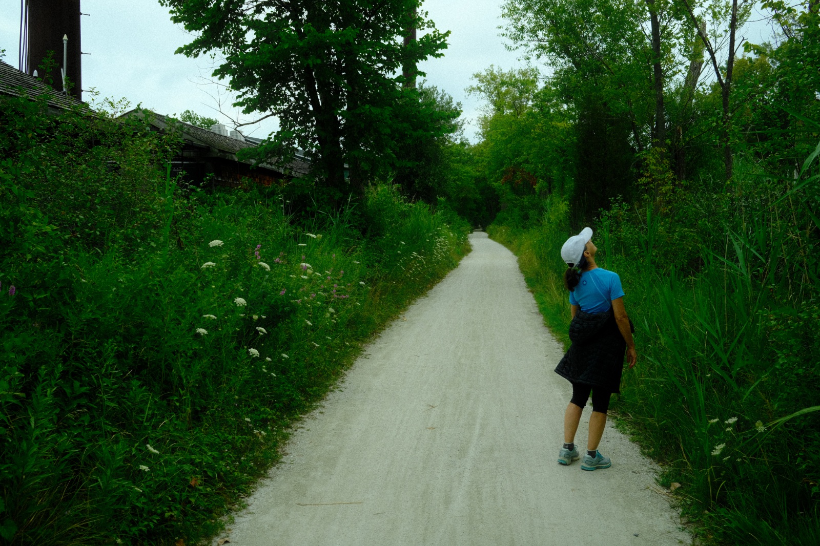 Green Bay Trail, Glencoe, August 2020