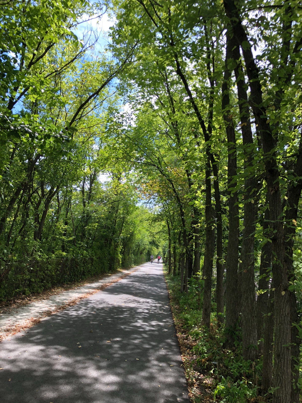 Nature’s Canopy
