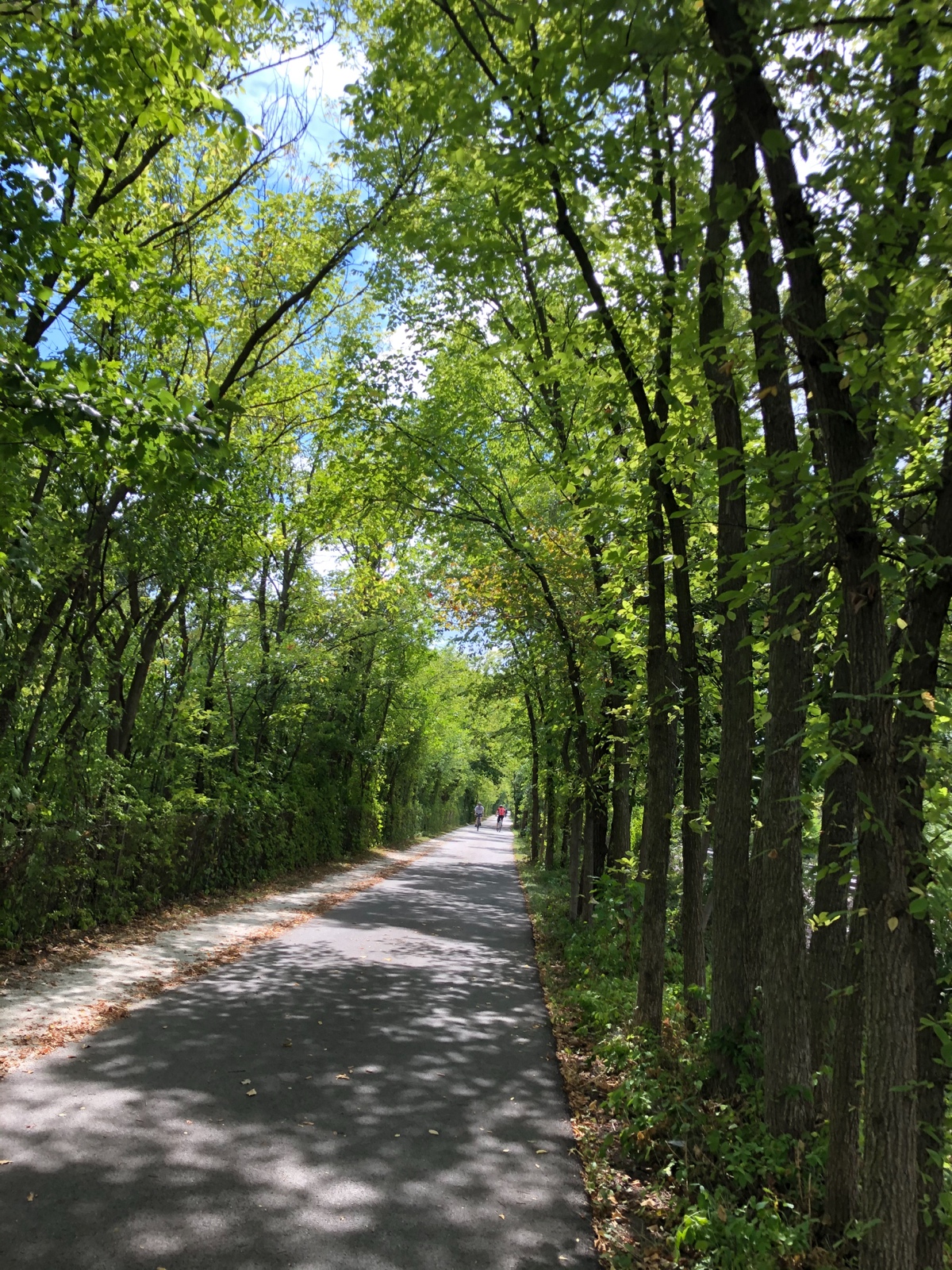 Nature’s Canopy