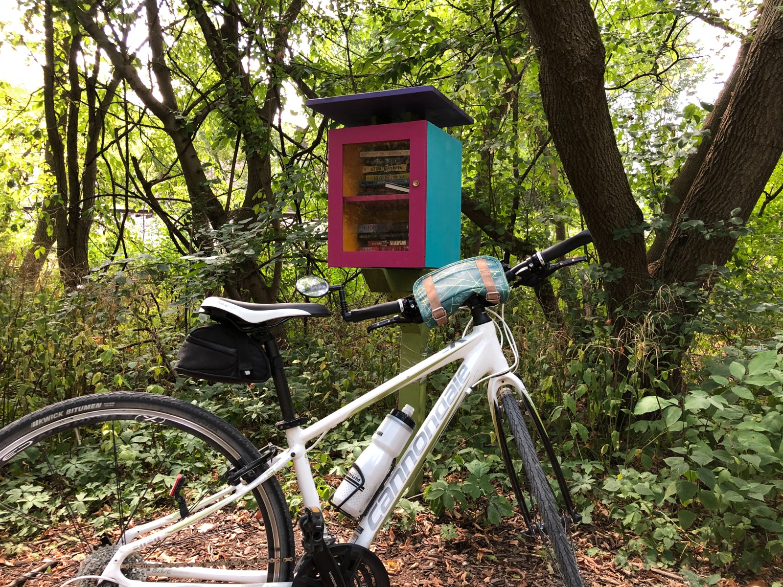 Water Break at the Mini Library