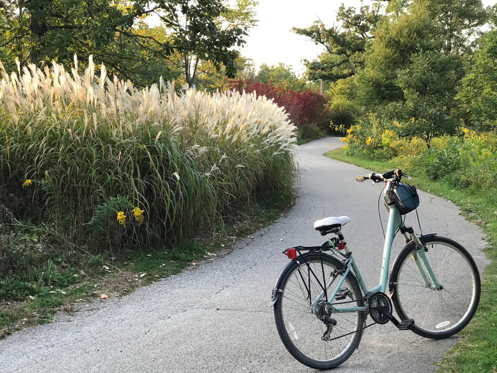 Biking in Perfect Light