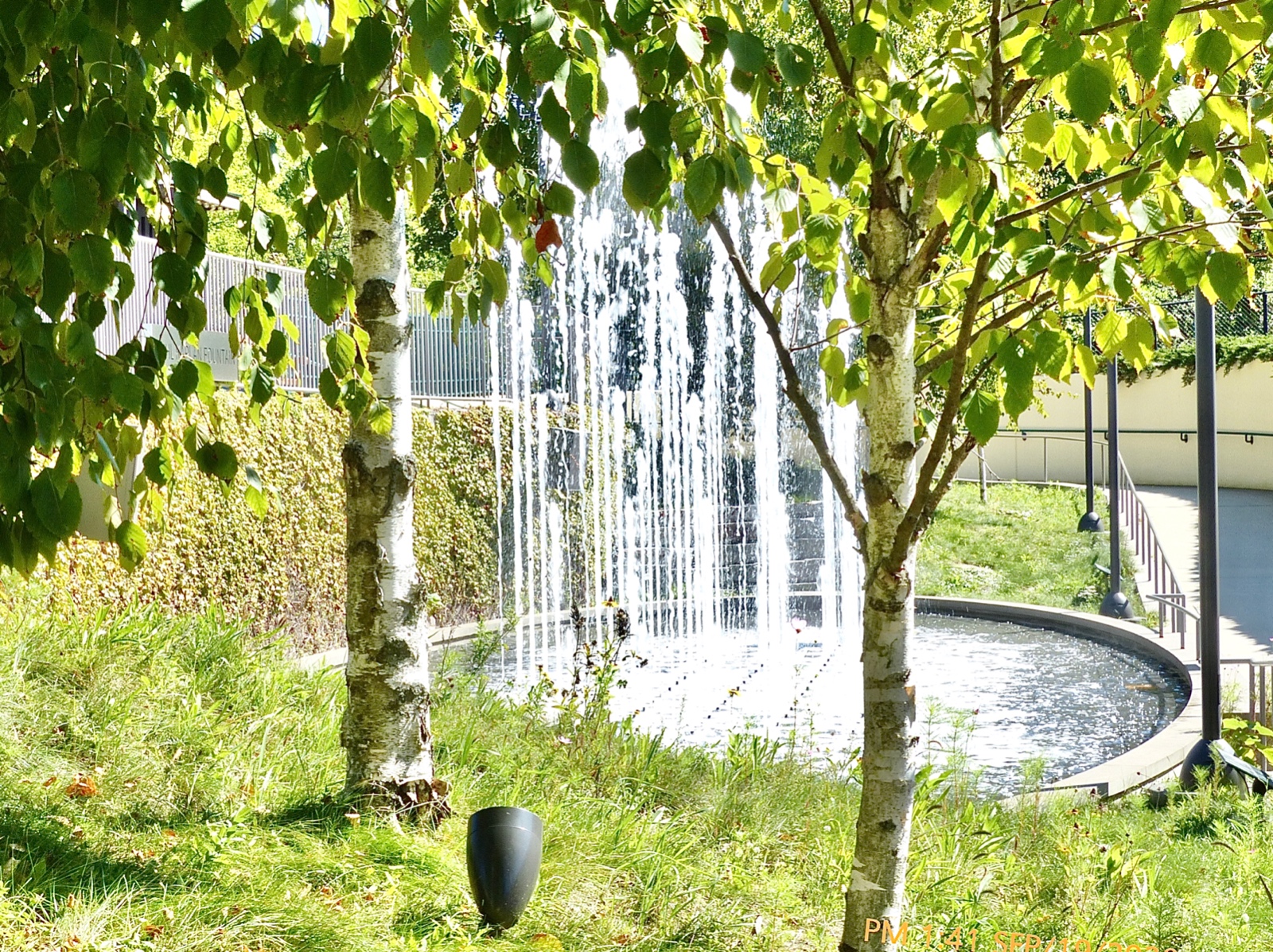 Tree Framed Fountain At Ravinia