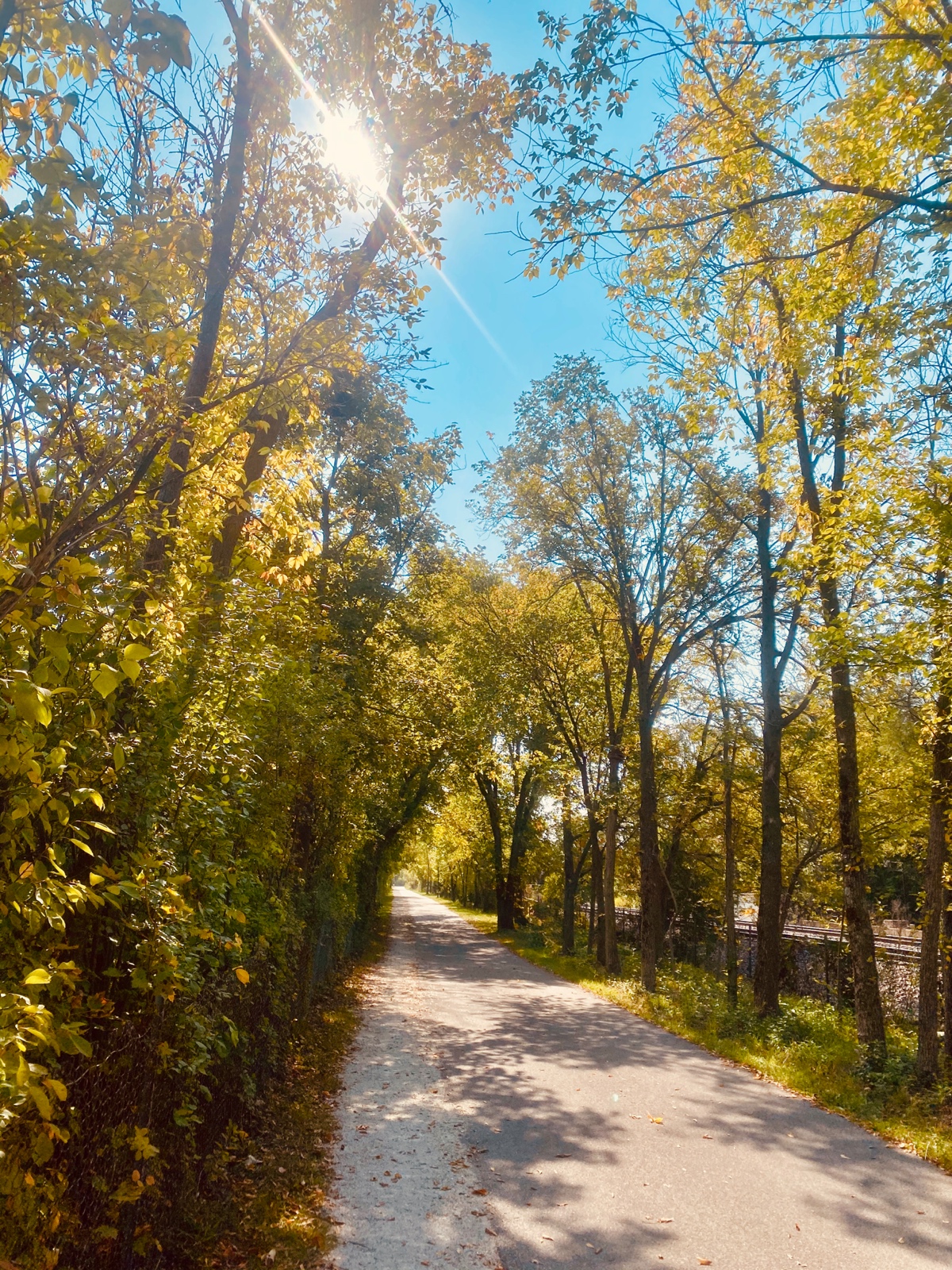 Autumn run on the Green Bay Trail