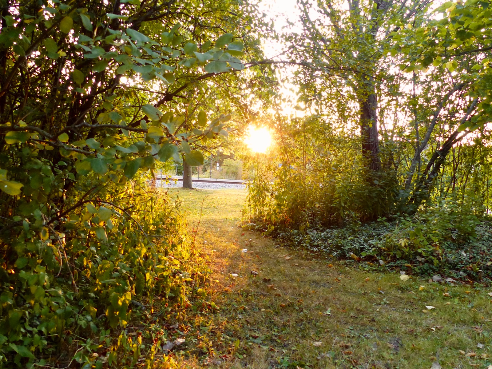 Solitude At Sunset