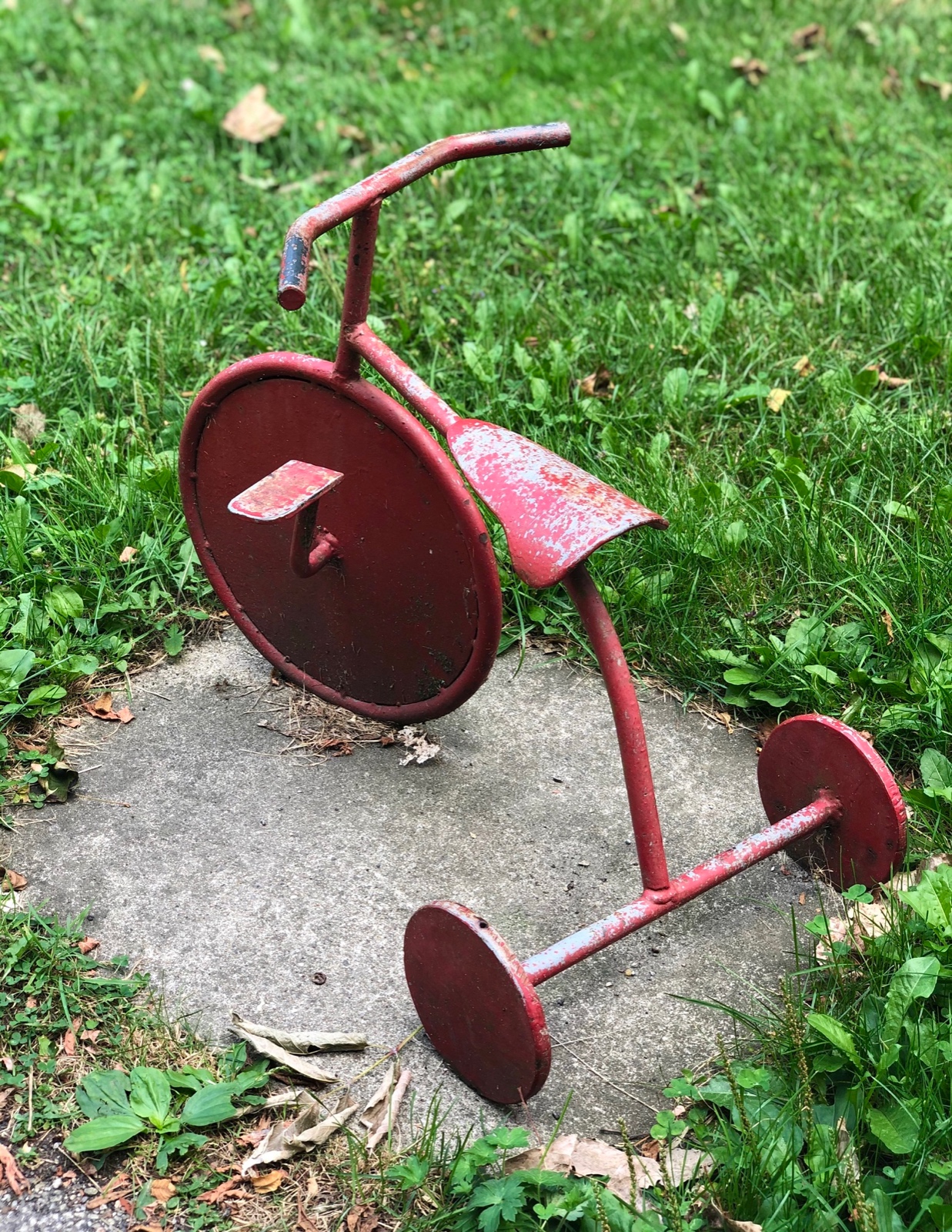 The Little Red Bike