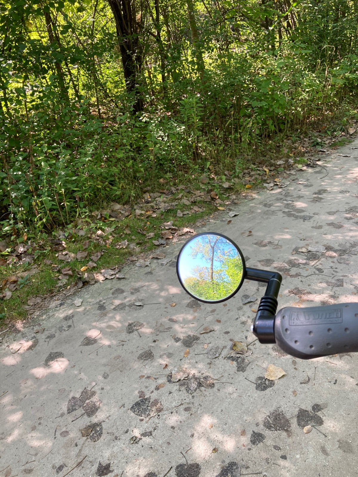 Riding Reflections