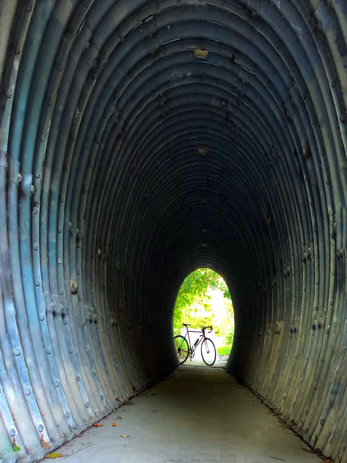 Cycling Through the Rabbit Hole