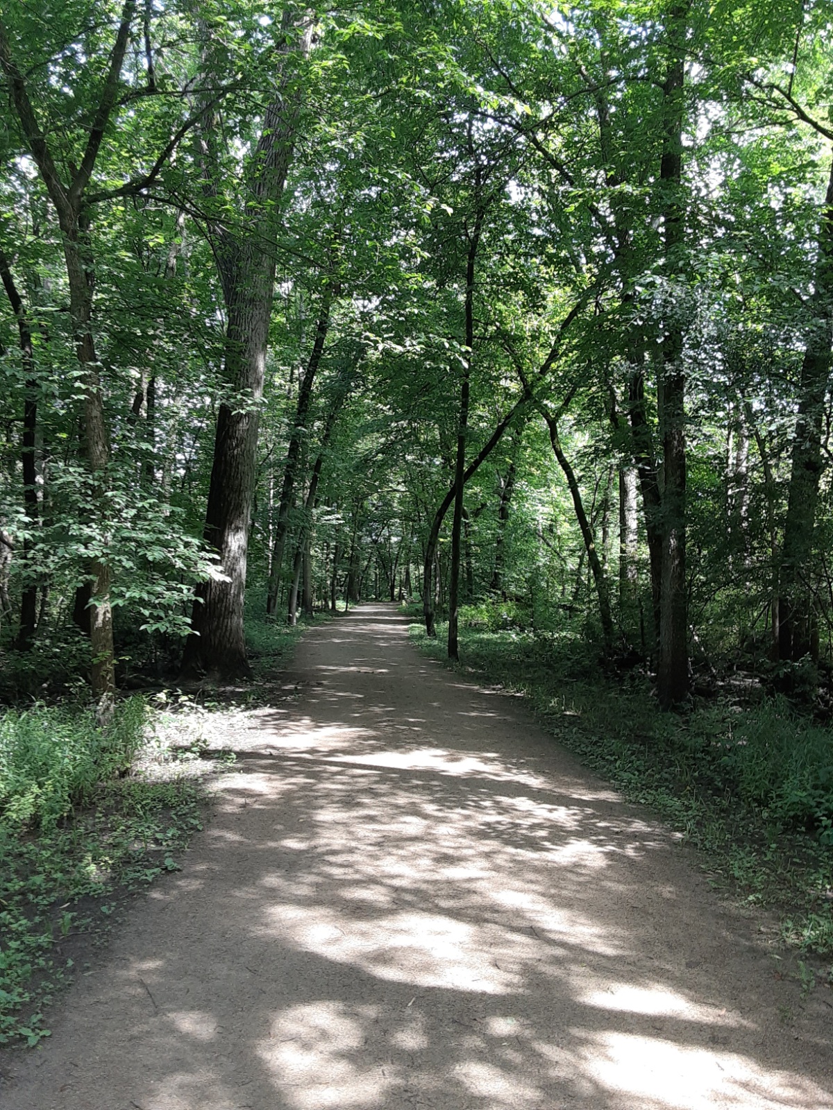 Peaceful Ravinia Stroll