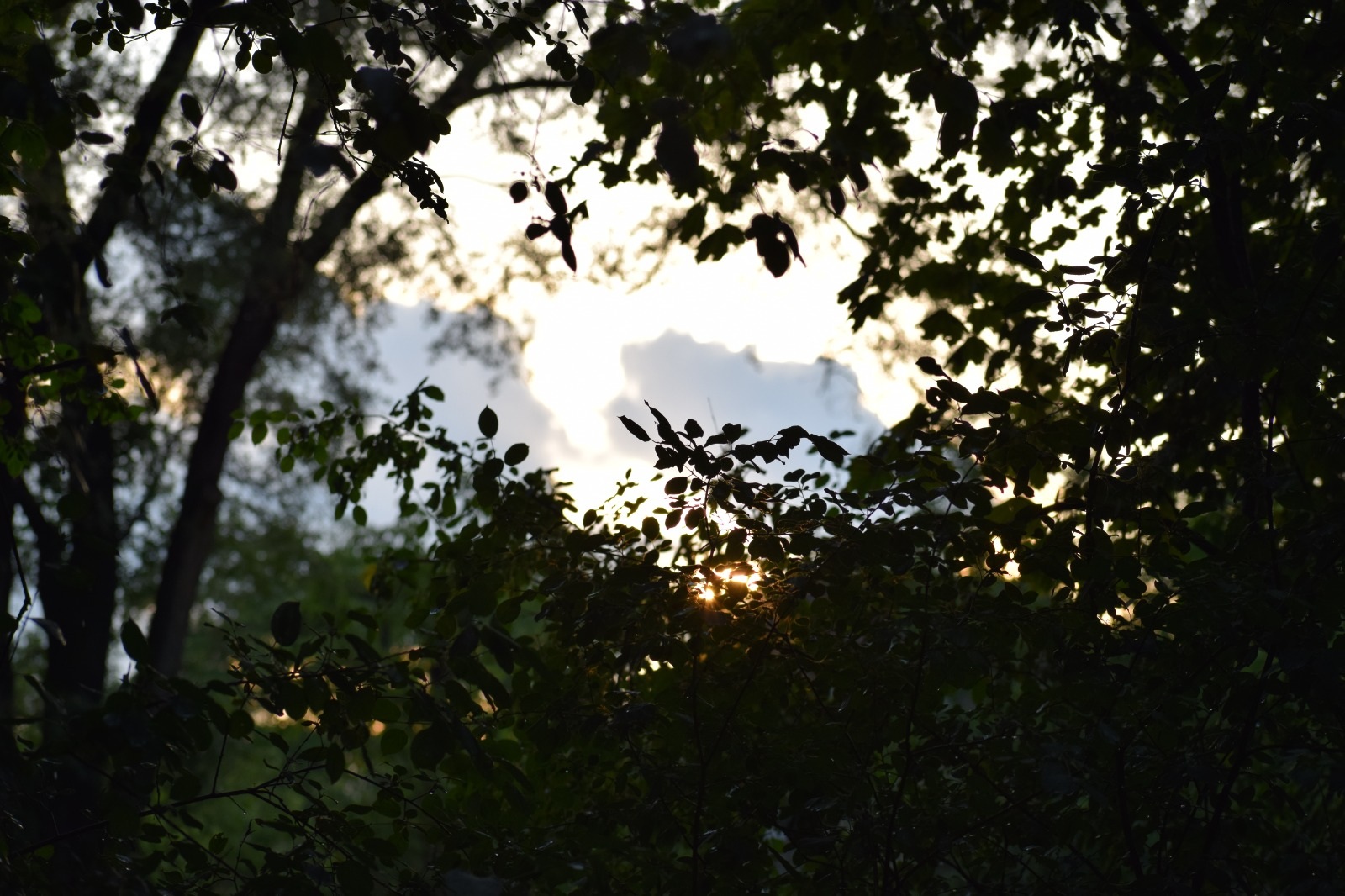Ray of light