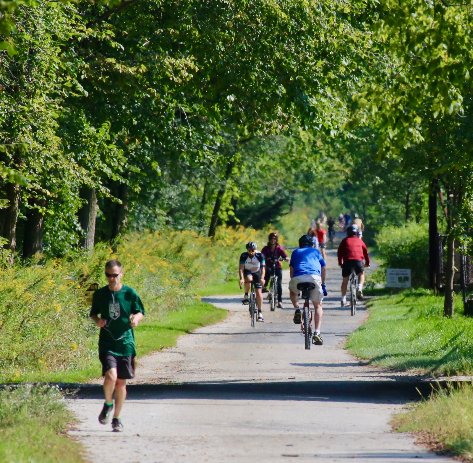 Crowded Trail