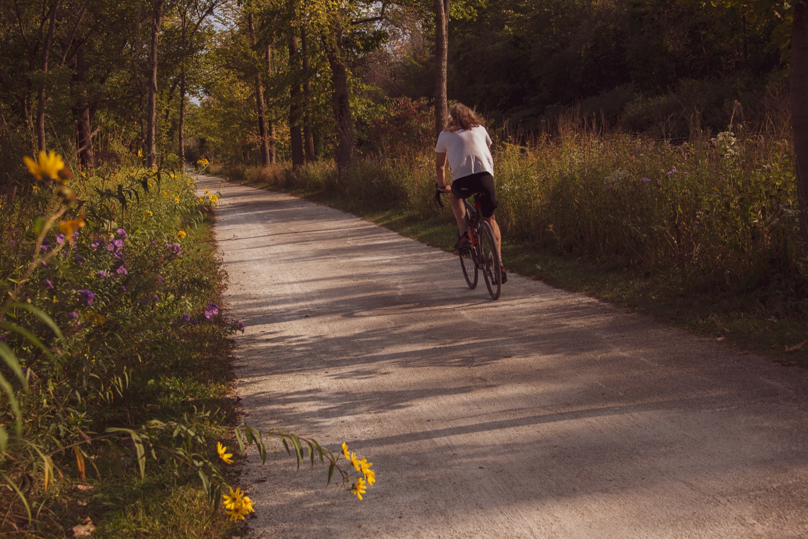 Autumn afternoon on the trail.