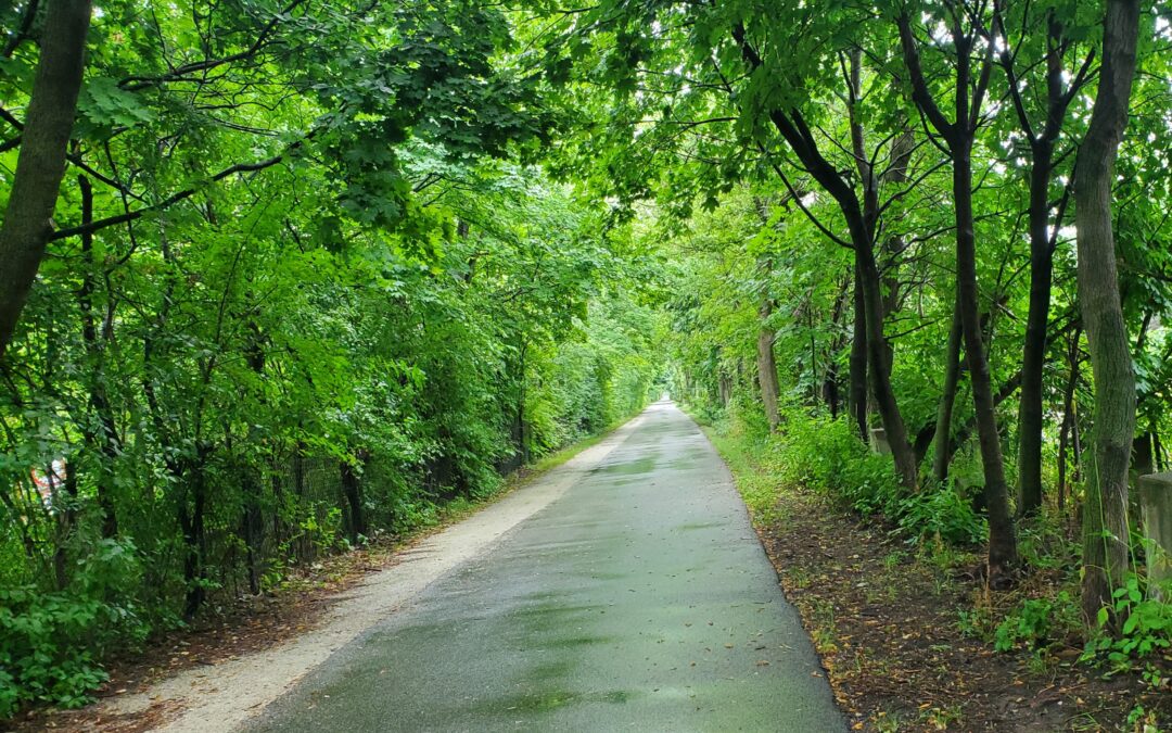 Biking in the Morning Rain