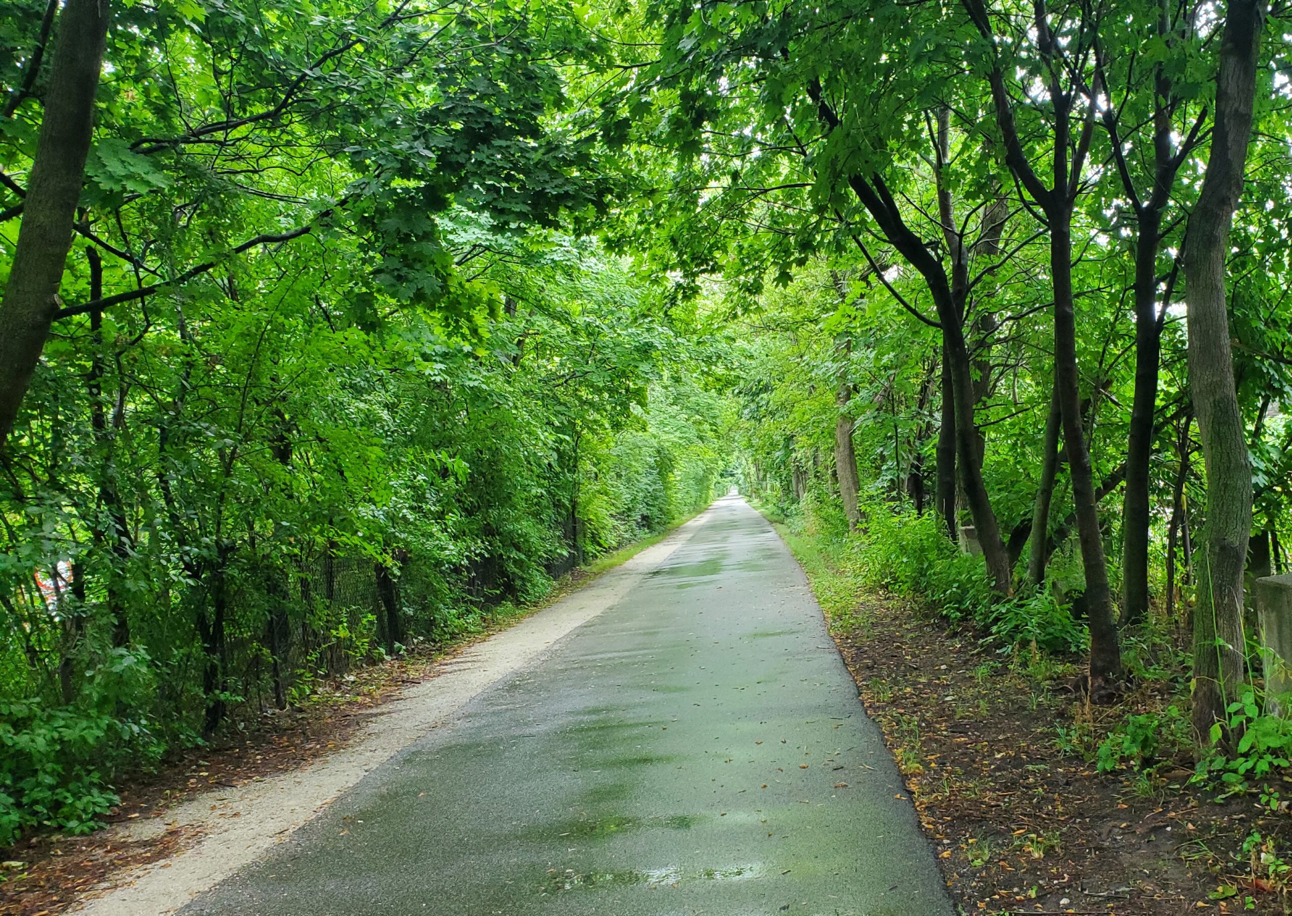 Biking in the Morning Rain