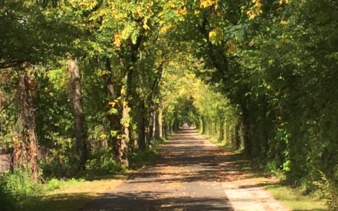 Green Bay Trail in the Fall