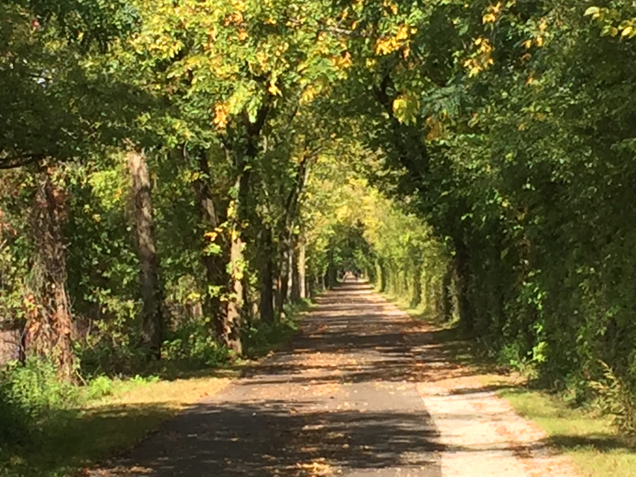 Green Bay Trail in the Fall