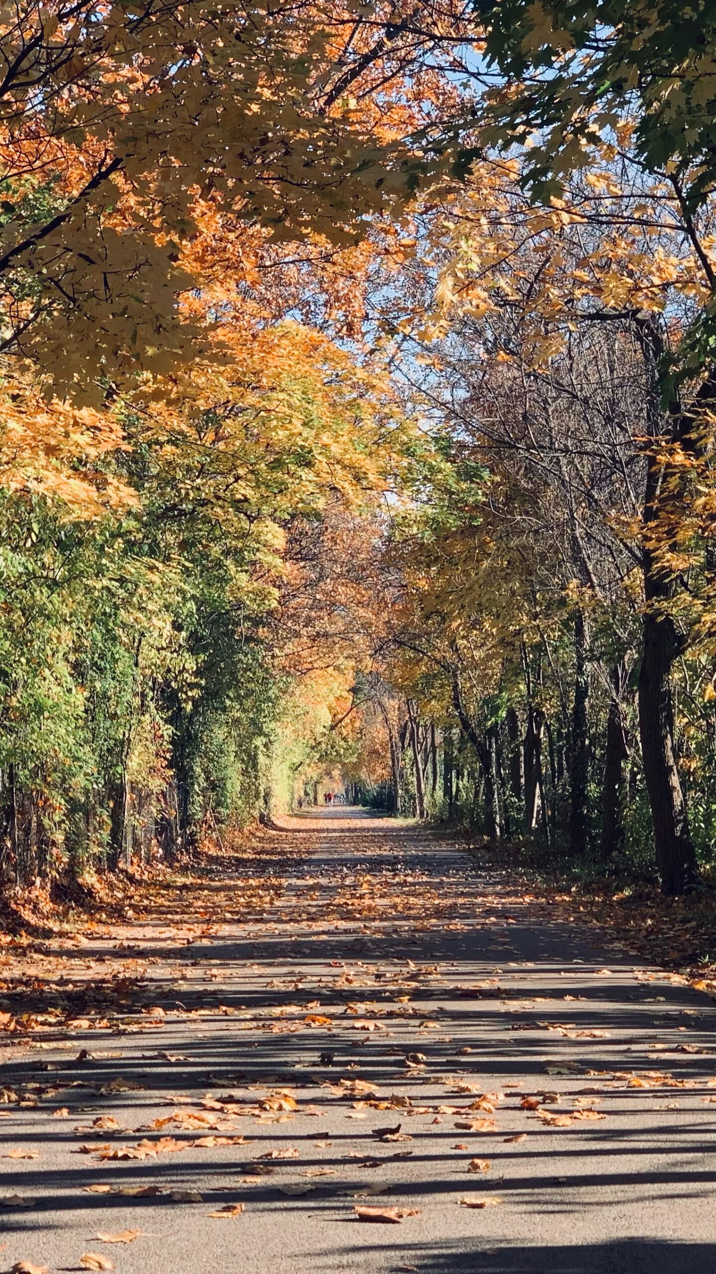 A walk on the path.