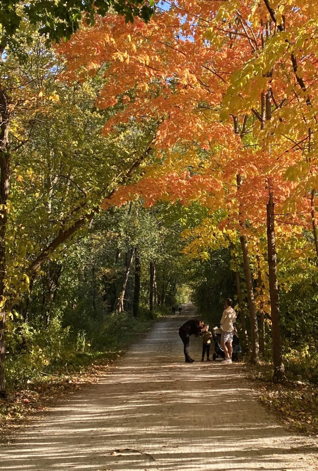 Family Moment on the Trail Green Bay Trail