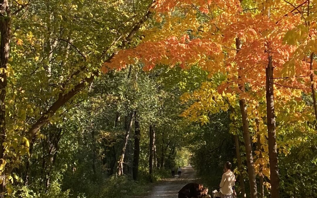 Family Moment on the Trail