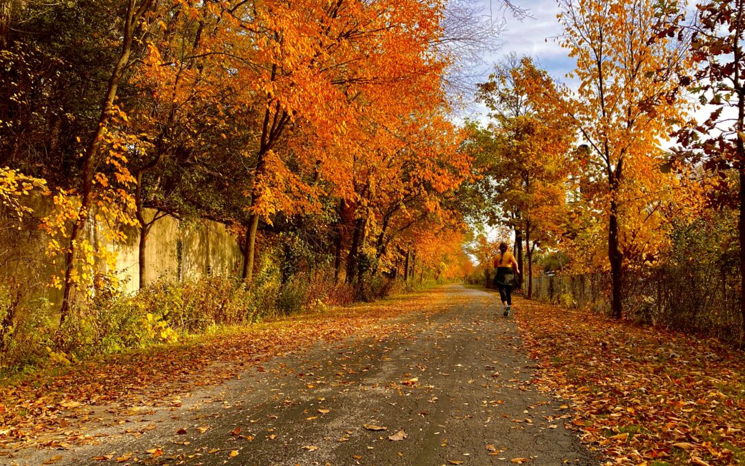 The autumn is a great time to run in the greenbay trail