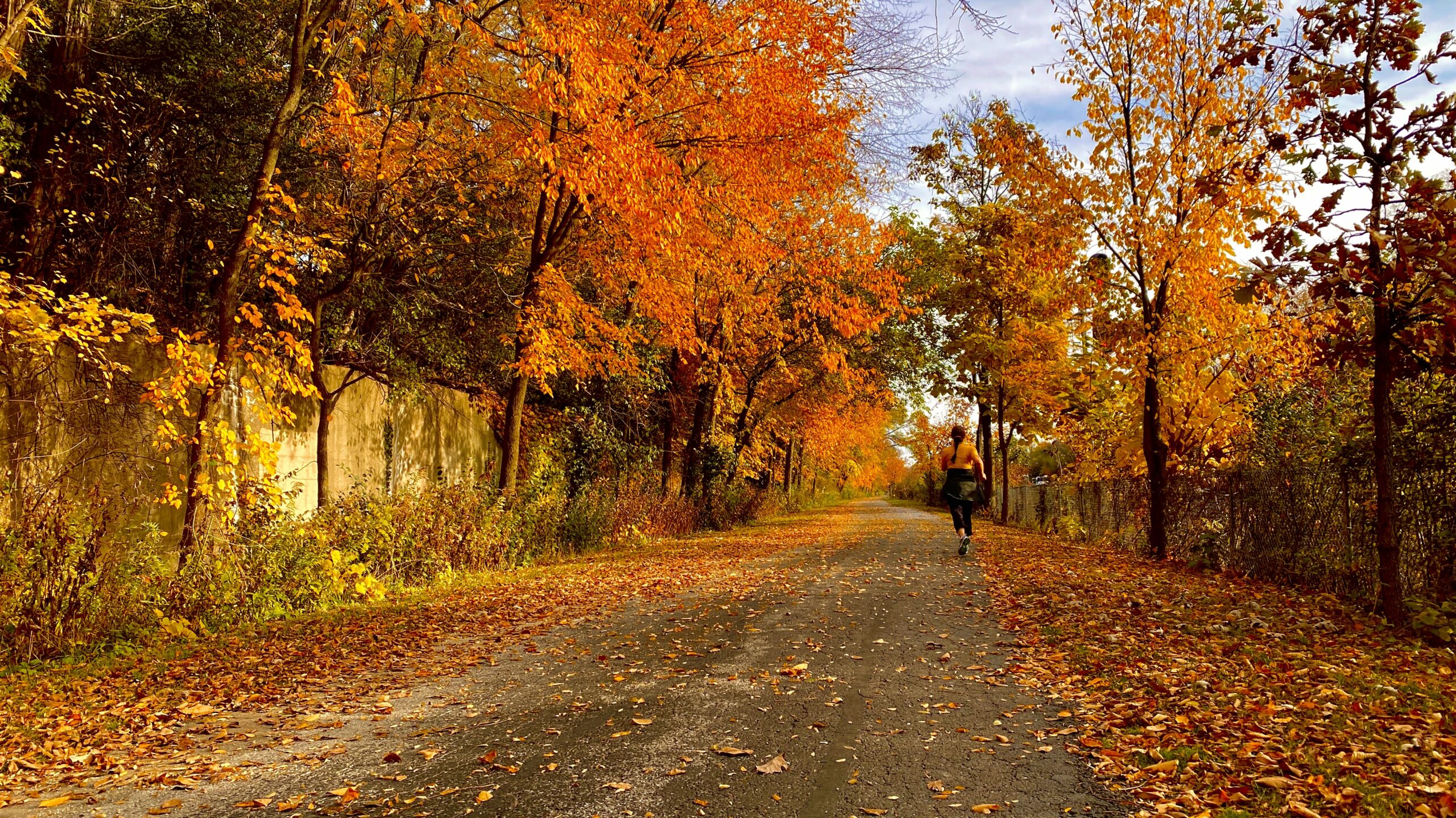 The autumn is a great time to run in the greenbay trail