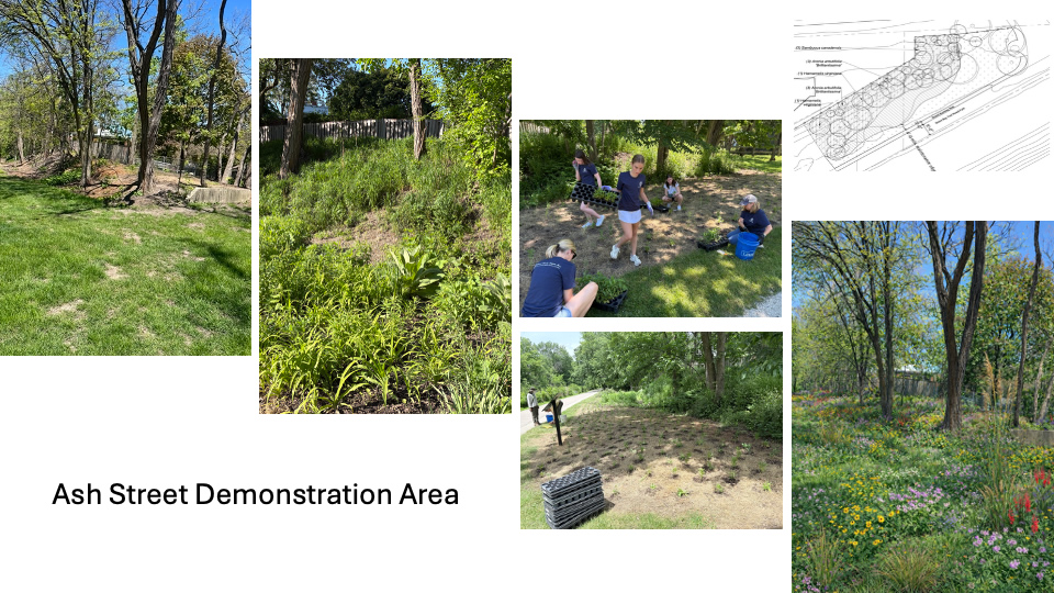 Ash Demonstration Site