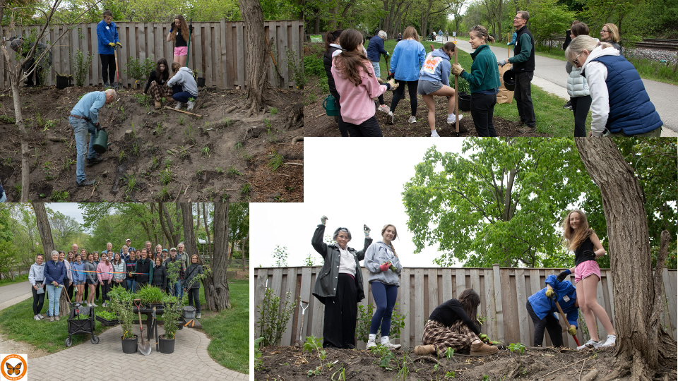 Ash volunteers 5-17-25